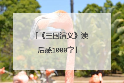 《三国演义》读后感1000字