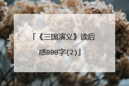 《三国演义》读后感800字(2)