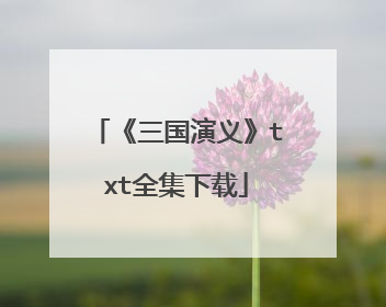 《三国演义》txt全集下载