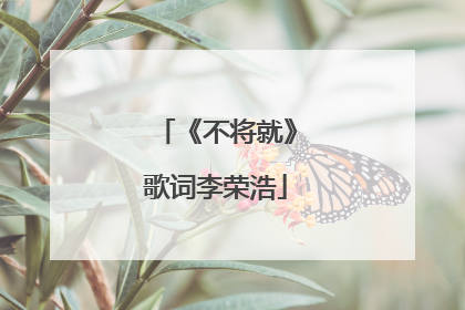 《不将就》歌词李荣浩