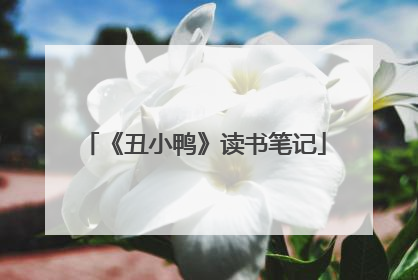 《丑小鸭》读书笔记