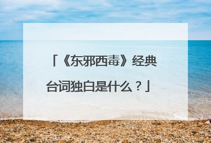 《东邪西毒》经典台词独白是什么?