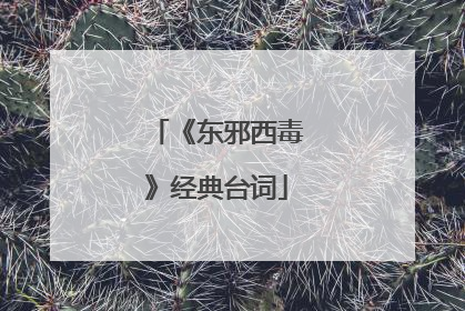 《东邪西毒》经典台词