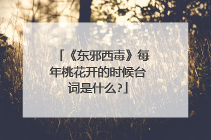 《东邪西毒》每年桃花开的时候台词是什么?