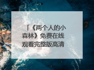 《两个人的小森林》免费在线观看完整版高清,求网盘资源