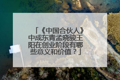 《中国合伙人》中成东青孟晓骏王阳在创业阶段有哪些意义和价值?