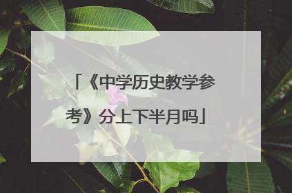 《中学历史教学参考》分上下半月吗