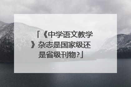 《中学语文教学》杂志是国家级还是省级刊物?