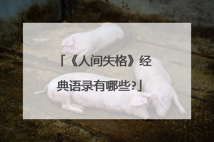 《人间失格》经典语录有哪些?