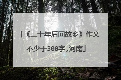 《二十年后回故乡》作文不少于300字,河南