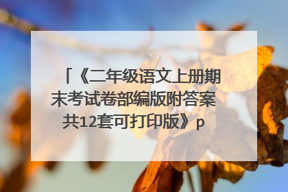 《二年级语文上册期末考试卷部编版附答案共12套可打印版》pdf下载在线阅读全文,求百度网盘云资源