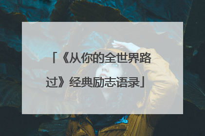 《从你的全世界路过》经典励志语录
