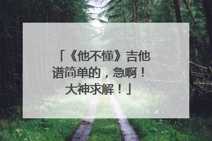 《他不懂》吉他谱简单的,急啊!大神求解!