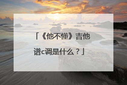 《他不懂》吉他谱c调是什么?