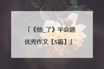 《他_了》半命题优秀作文【5篇】