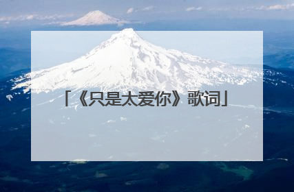 《只是太爱你》歌词