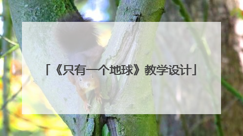 《只有一个地球》教学设计