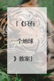 《只有一个地球》教案