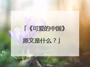 《可爱的中国》原文是什么?