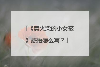 《卖火柴的小女孩》感悟怎么写?