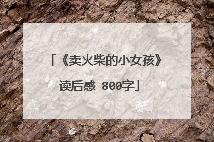 《卖火柴的小女孩》读后感 800字