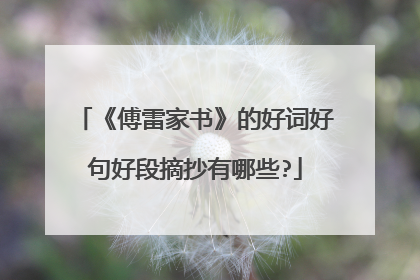 《傅雷家书》的好词好句好段摘抄有哪些?