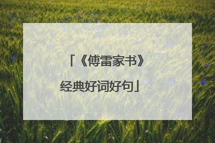 《傅雷家书》经典好词好句