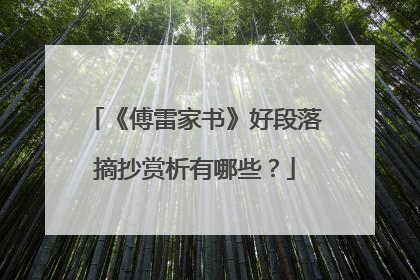 《傅雷家书》好段落摘抄赏析有哪些？