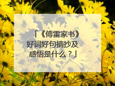 《傅雷家书》好词好句摘抄及感悟是什么？