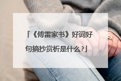 《傅雷家书》好词好句摘抄赏析是什么?