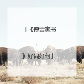 《傅雷家书》好词好句