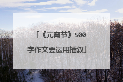 《元宵节》500字作文要运用插叙