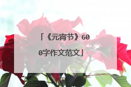 《元宵节》600字作文范文