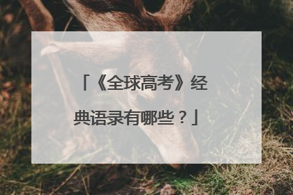 《全球高考》经典语录有哪些？