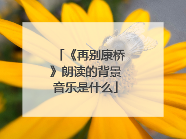 《再别康桥》朗读的背景音乐是什么