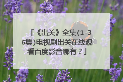 《出关》全集(1-36集)电视剧出关在线观看百度影音哪有？