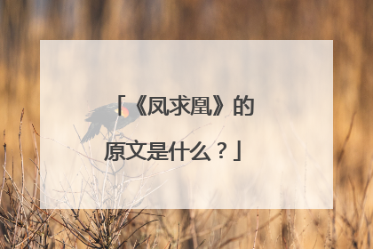 《凤求凰》的原文是什么?