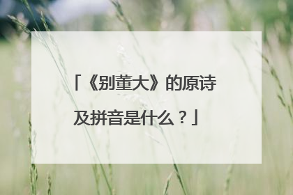《别董大》的原诗及拼音是什么？