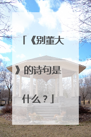《别董大》的诗句是什么？