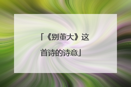 《别董大》这首诗的诗意