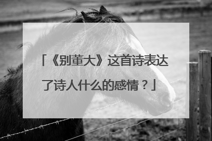 《别董大》这首诗表达了诗人什么的感情？