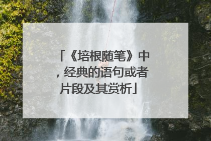 《培根随笔》中,经典的语句或者片段及其赏析