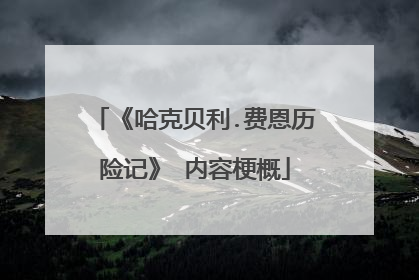 《哈克贝利.费恩历险记》 内容梗概