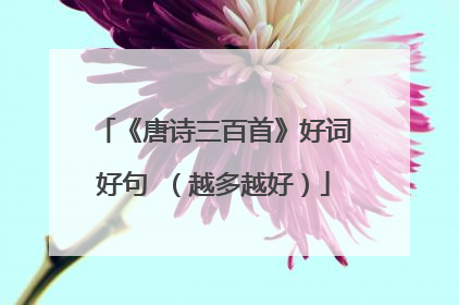 《唐诗三百首》好词好句 (越多越好)