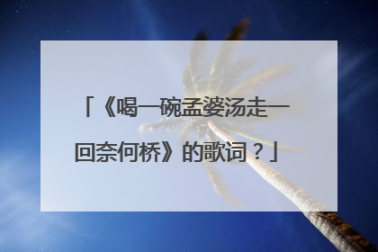 《喝一碗孟婆汤走一回奈何桥》的歌词?