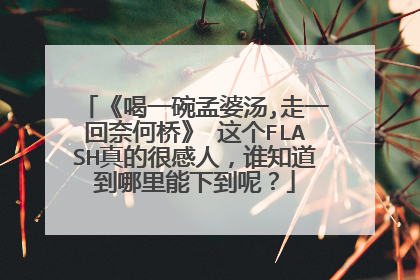 《喝一碗孟婆汤,走一回奈何桥》 这个FLASH真的很感人，谁知道到哪里能下到呢？