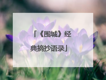 《围城》经典摘抄语录