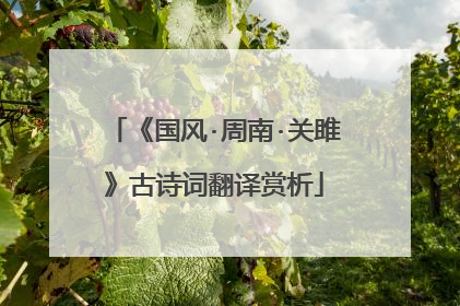 《国风·周南·关雎》古诗词翻译赏析