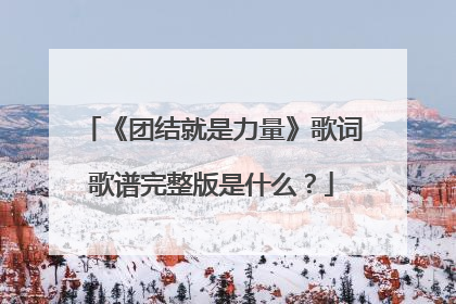 《团结就是力量》歌词歌谱完整版是什么?