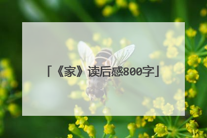 《家》读后感800字